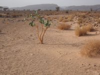 Trek Maroc